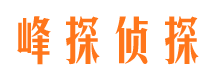 阜城寻人公司